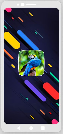 Android application Parrot Sounds screenshort