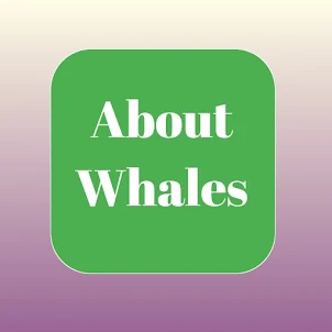 About Blue Whale
