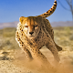 Savanna Simulator: Wild Animal Games تنزيل على نظام Windows