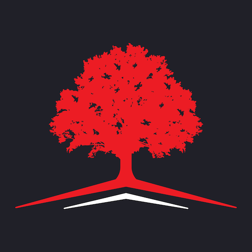 Alnus Trader logo