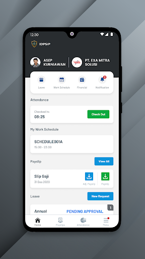 IDPSip Screen 2