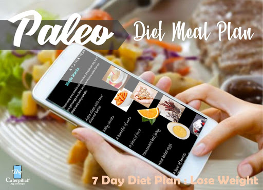 Paleo Diet Plan