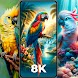 Parrot Wallpapers Cute 4K - HD