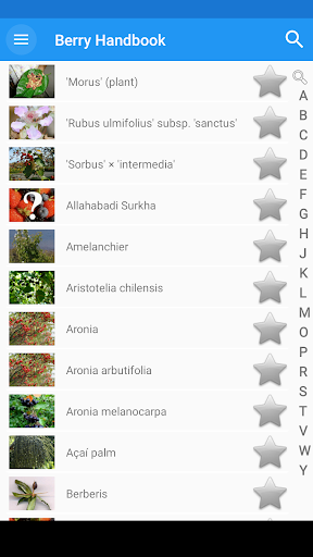 Encyclopedia of Berries. Photo Screen 3
