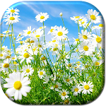 Cover Image of ダウンロード Spring Live Wallpaper  APK