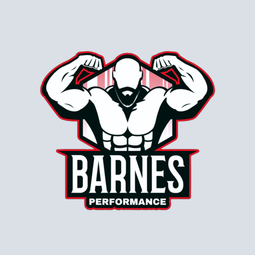 Barnes Performance logo