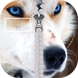 Dogs Lock Screen Zipper icon
