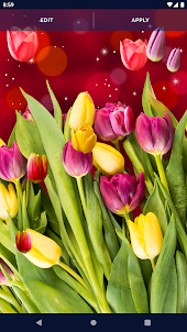Spring Tulip Live Wallpaper
