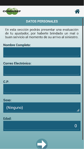 Ajustadores de Seguros de Automóvil