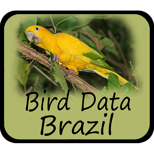 Bird Data - Brazil Bird%20Data%20-%20Brazil%201280 Icon