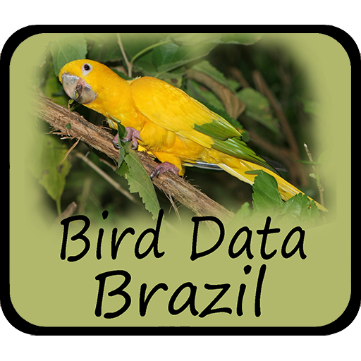 Bird Data - Brazil