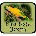 Bird Data - Brazil