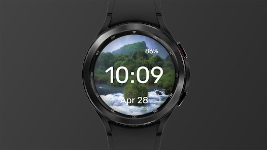 Screenshot image