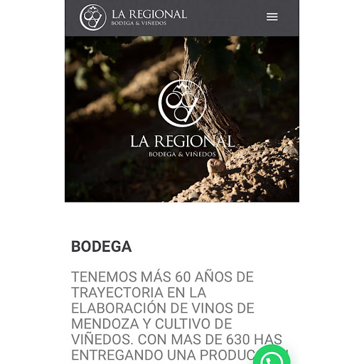 Android application Bodega La Regional screenshort