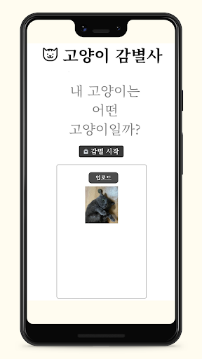 고양이 Ai 인식 Screen 2