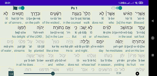 Android application Tanakh Read Along screenshort