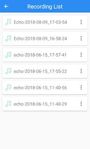Echo voice recorder