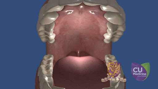Android application DigestVR (CUHK) screenshort