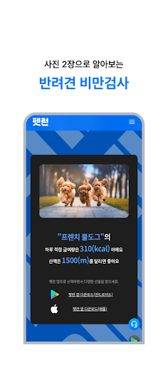 펫런 - AI 강아지 비만케어,산책,기록,통계,보상 Screen 3