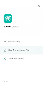Bang Cleaner