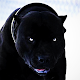 Pitbull Dog Wallpaper HD دانلود در ویندوز