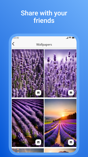 Flowers Blossom Wallpaper HD