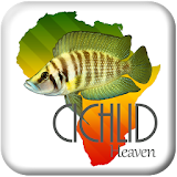 Cichlid Heaven icon