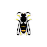 Asian Hornet Watch icon