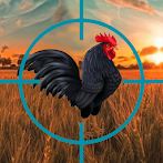 Crazy Chicken Hunt