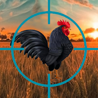 Crazy Chicken Hunt