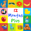 First Words 12 Months Plus (Baby Flash cards) 