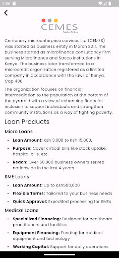 CEMES LOANS Screen 2
