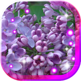 Lilac Spring 2016 icon