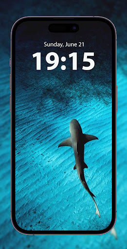 Android application Suret Wallpapers HD & 4K screenshort