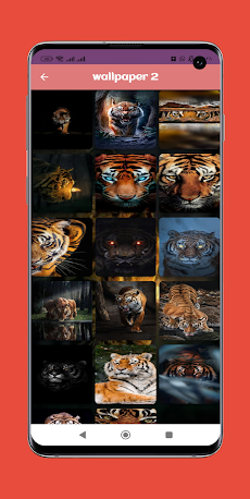 Tiger wallpaperのおすすめ画像3