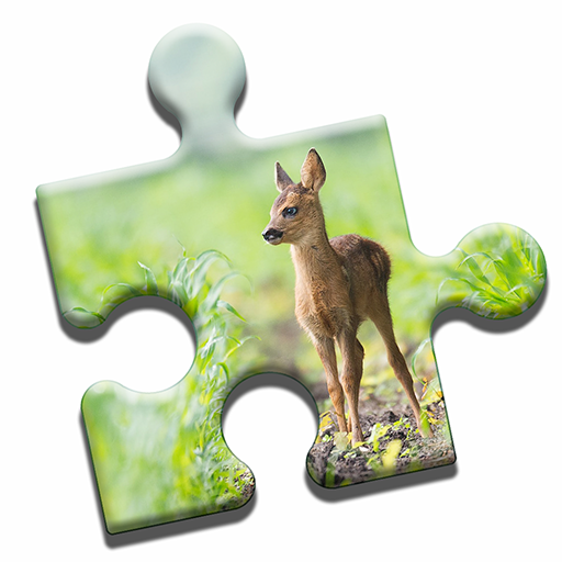 Lovely Animals Puzzle logo
