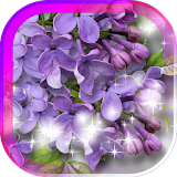 Amazing Lilac live wallpaper icon