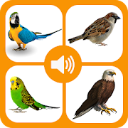 Top 20 Entertainment Apps Like Bird Sounds - Best Alternatives