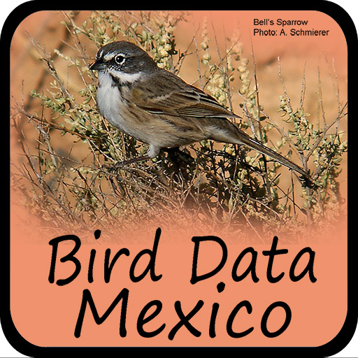 Bird Data - Mexico