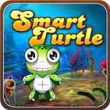 Smart Turtle icon