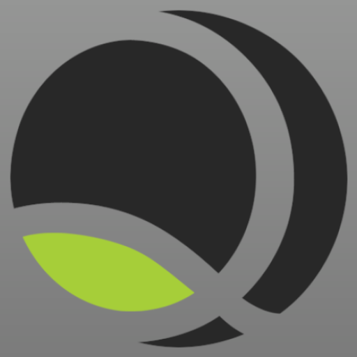 NetQIS Waiter logo