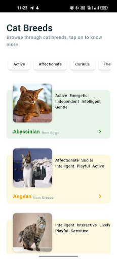 Android application The Cat App screenshort