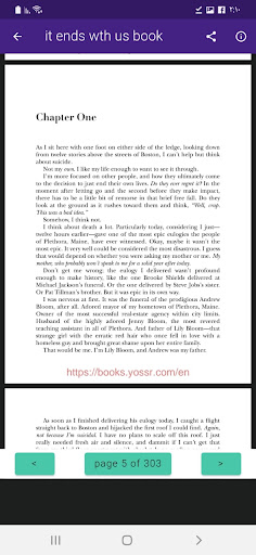 It ends with us book