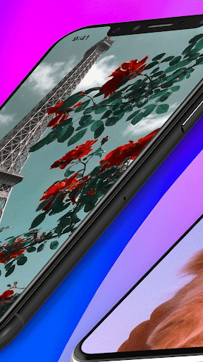 Aesthetic Wallpaper Background Screen 2