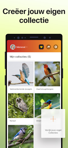 Picture Bird: Vogels Herkennen