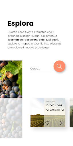 Giro DiVino Screen 2