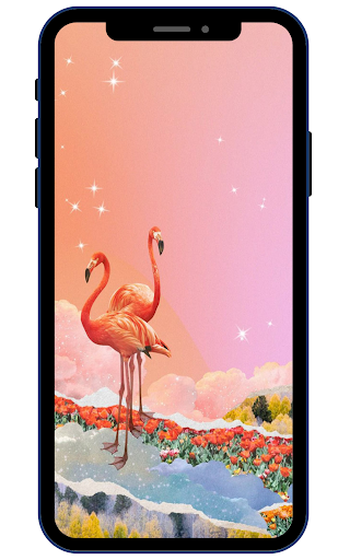 Android application Flamingo Wallpapers screenshort