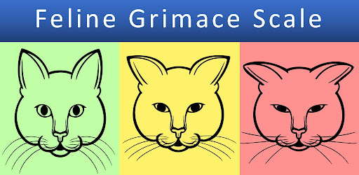 Feline Grimace Scale - Apps on Google Play