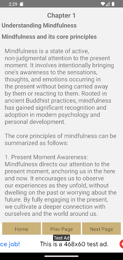 Art of Mindfulness Screen 3