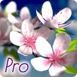 Spring Flowers 3D Parallax Pro icon